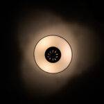 Fauna Black Ceiling Lights by LUCE